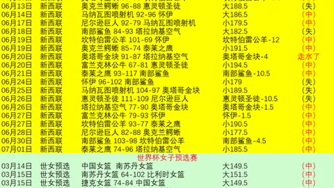 世界杯下注，足球竞猜， 111117 2